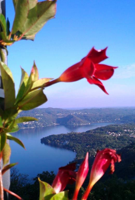 Hotel Panoramico Lago D'Orta (Adults Only) Madonna Del Sasso Exterior photo